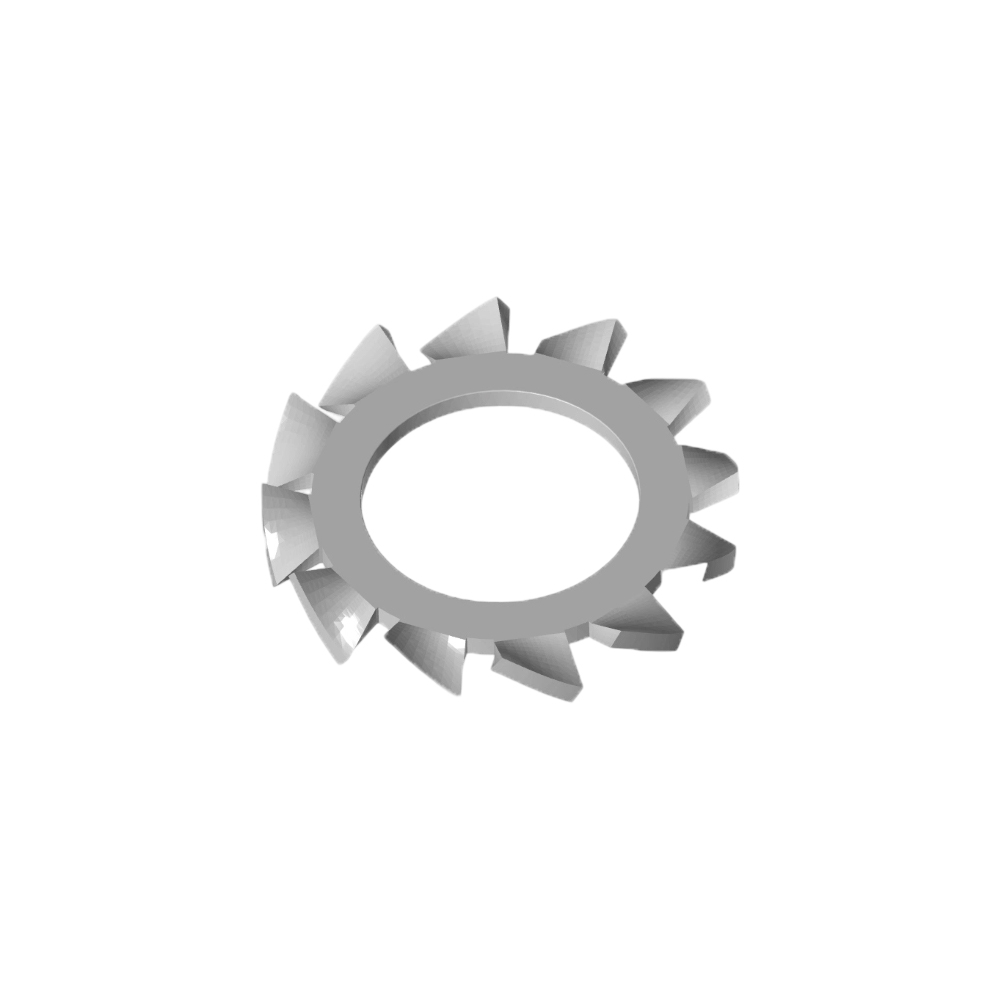 External Tooth Lock Washer
