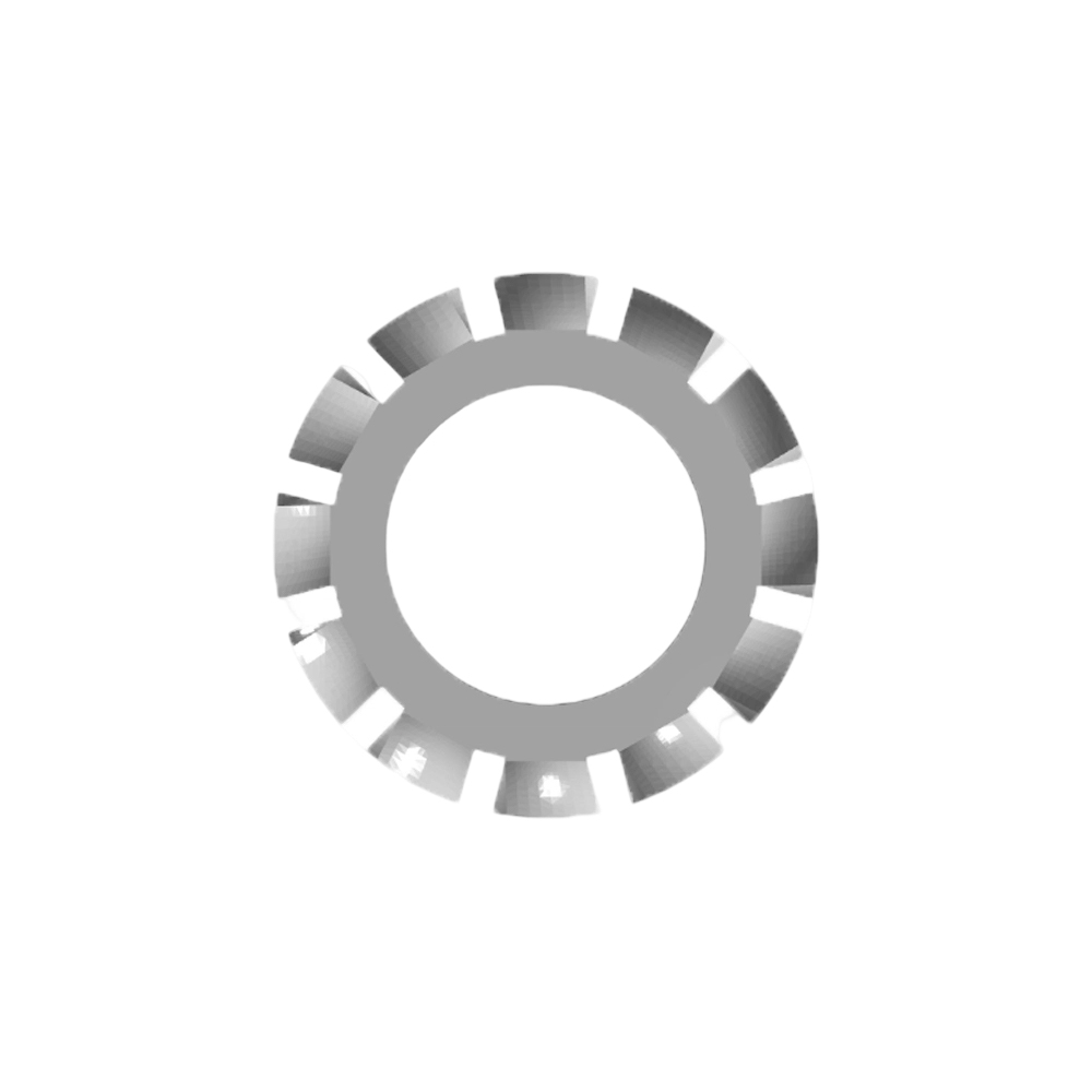 External Tooth Lock Washer