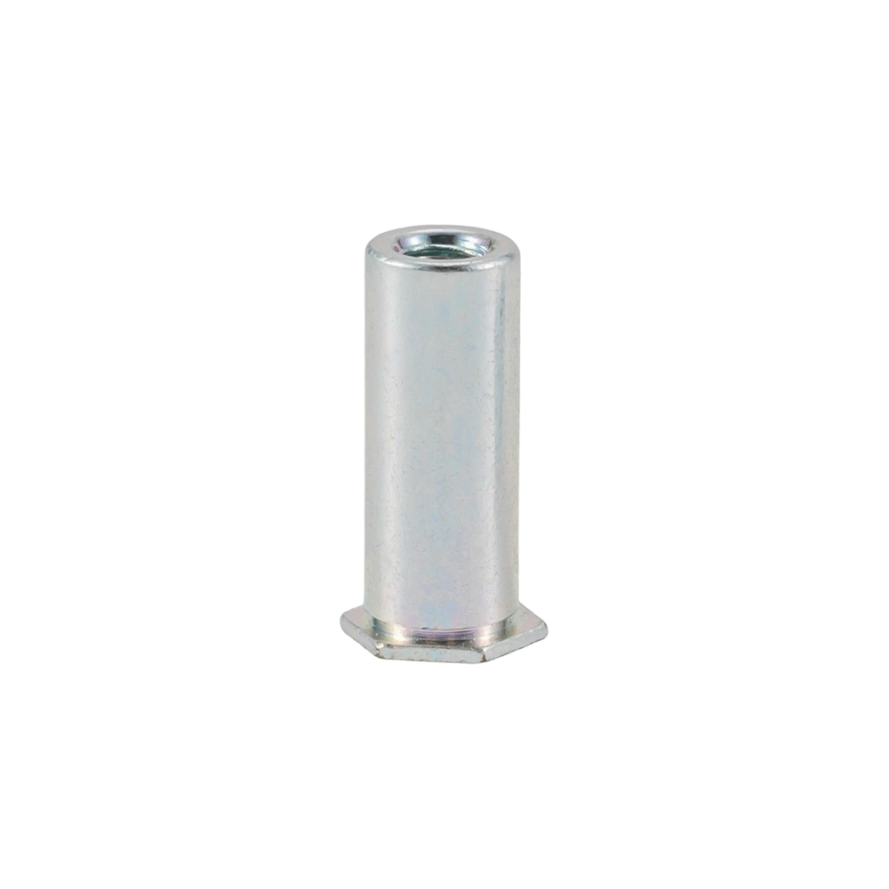 Hexagon Head Blind Hole Riveting Nut